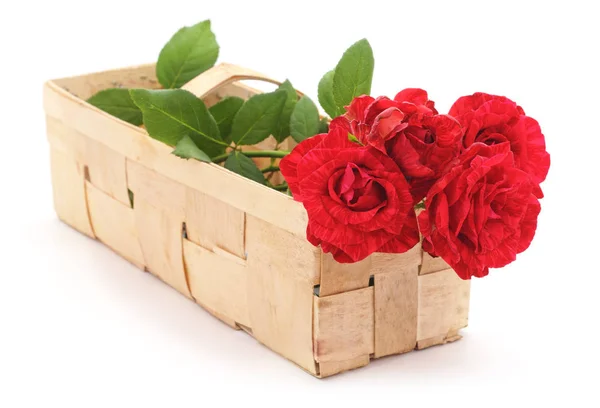 Красные розы в корзине . — стоковое фото