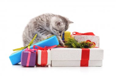 Yavru kedi ve Noel hediyeleri.