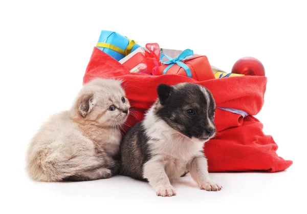 Gatito y cachorro está cerca de la bolsa de Navidad con regalos . — Foto de Stock