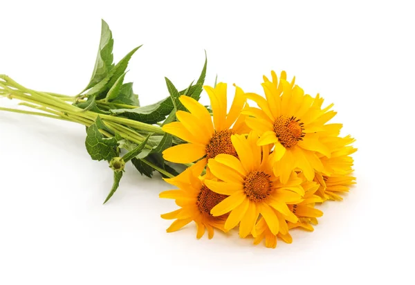 Bouquet of yellow chamomile. — Stock Photo, Image