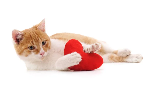 고양이 레드 심장. — 스톡 사진