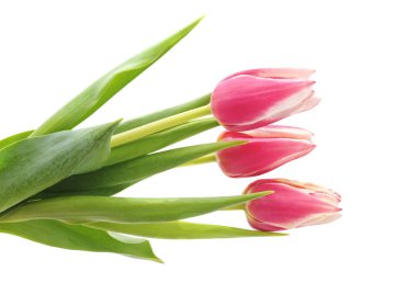 buket Pembe Laleler.