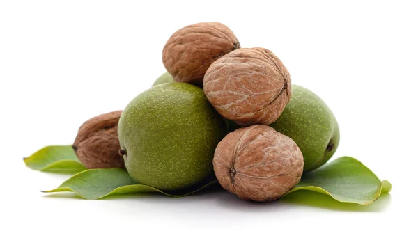 Зеленые орехи с листьями . — стоковое фото