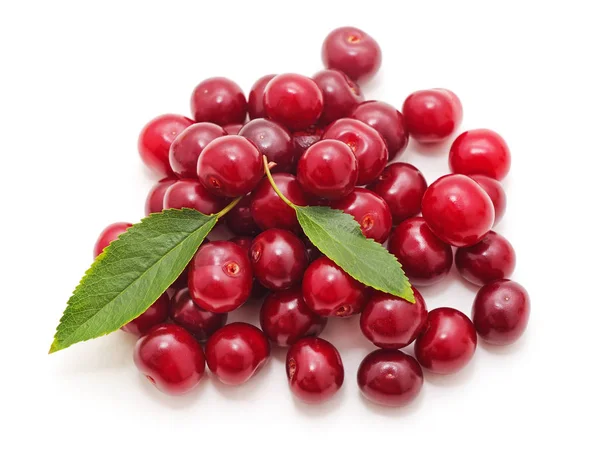 Cherries with leaf. — Stock Photo, Image