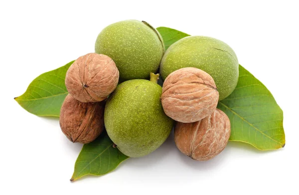 Groene noten met bladeren. — Stockfoto