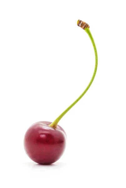 One ripe cherry. — Stock Photo, Image