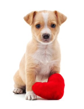 Kalp ile kahverengi köpek yavrusu.