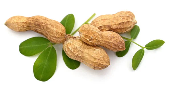 Cacahuetes y hojas . — Foto de Stock