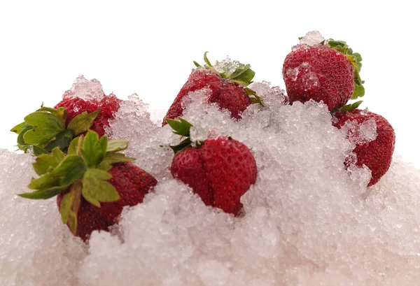 딸기와 얼음. — 스톡 사진