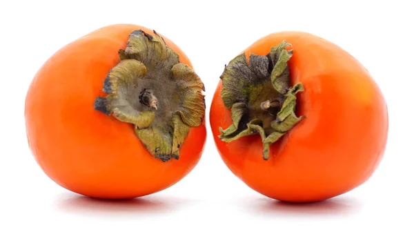 Dois caquis laranja . — Fotografia de Stock