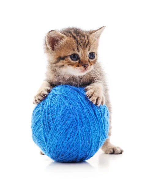 Un chaton rayé avec une boule de fil . — Photo