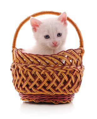 Beyaz arka planda izole edilmiş sepetteki kedi yavrusu..