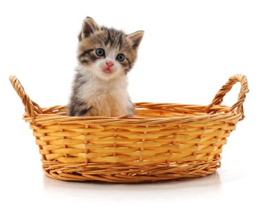 Beyaz arka planda izole edilmiş sepetteki kedi yavrusu..