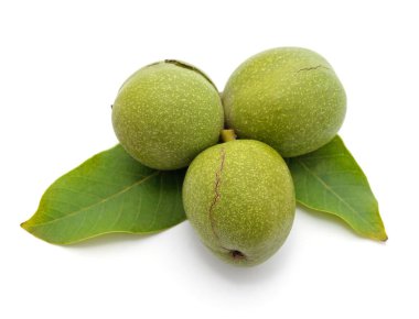 Beyaz arka planda yeşil yapraklı fındık.