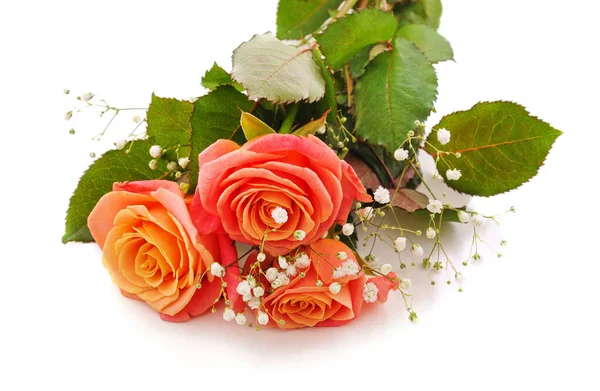 Bouquet Rose Isolato Fondo Bianco — Foto Stock
