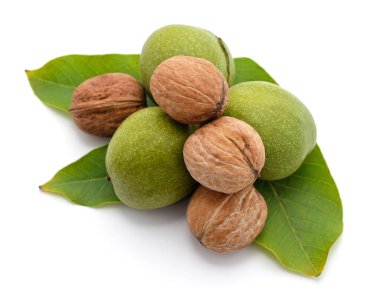 Beyaz arka planda yeşil yapraklı fındık.