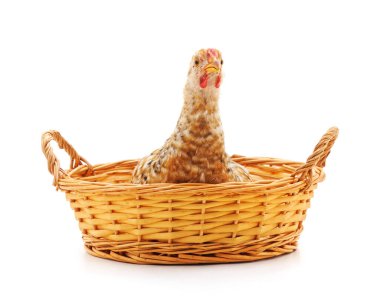 Beyaz arka planda izole edilmiş sepetteki tavuk..