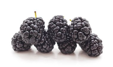 Beyaz arka planda izole edilmiş olgun dut sürüsü..