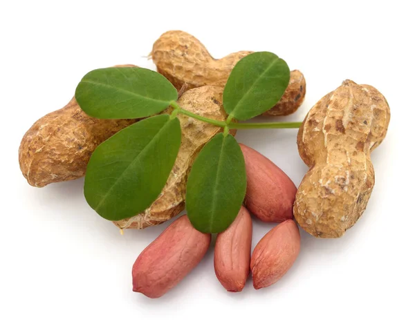 Erdnüsse Und Blätter Isoliert Auf Weißem Hintergrund — Stockfoto