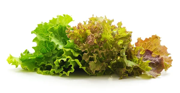 Frische Salatblätter Isoliert Auf Weißem Hintergrund — Stockfoto