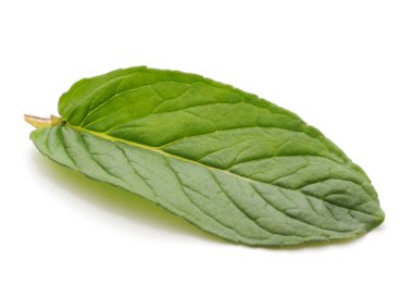 Beyaz arkaplanda izole edilmiş yeşil nane yaprakları.