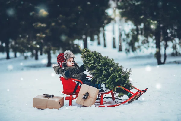 Inverno Foto Natale Bambino Umore Natalizio Capodanno Bambino Una Slitta Immagini Stock Royalty Free