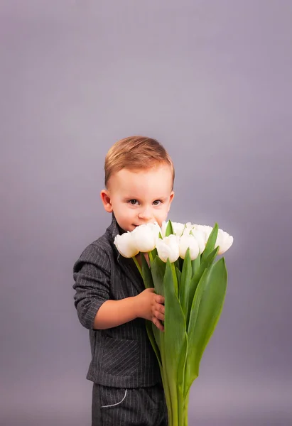 Pequeno Cavalheiro Com Buquê Tulipas Estúdio Fundo Cinza Honra Das — Fotografia de Stock