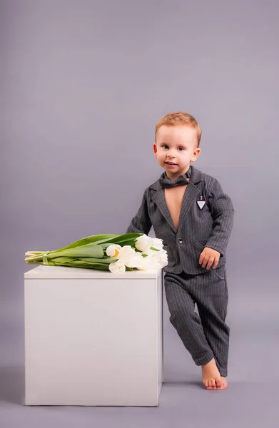 Pequeno Cavalheiro Com Buquê Tulipas Estúdio Fundo Cinza Honra Das — Fotografia de Stock