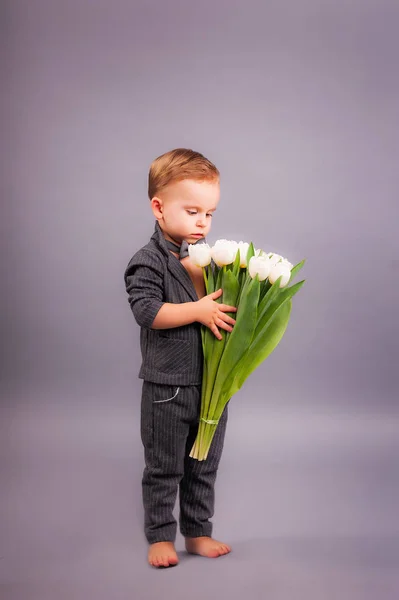 Pequeno Cavalheiro Com Buquê Tulipas Estúdio Fundo Cinza Honra Das — Fotografia de Stock