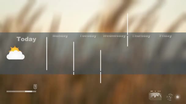 Předpověď počasí - mraky - déšť - Thunder - pšeničné pole pozadí — Stock video
