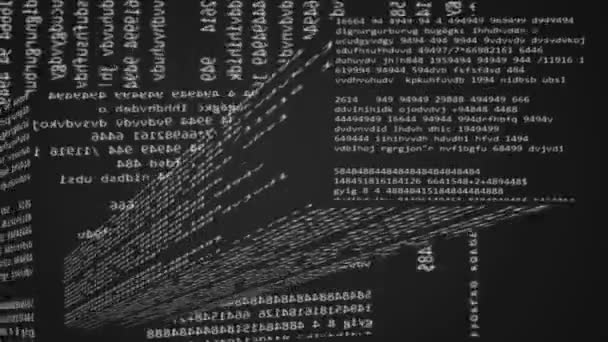 Code - in einem erweiterten Interface - vertikal - horizontal - Linien schwarz — Stockvideo
