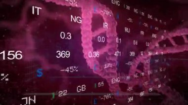 Borsa - Dna - sağ tarafta - mor