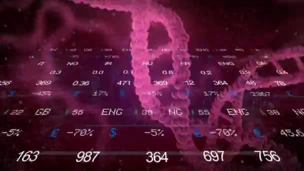 Фондовий ринок - ДНК - лицьового боку - фіолетовий — стокове відео