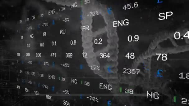 Bourse - ADN - Côté gauche - noir 