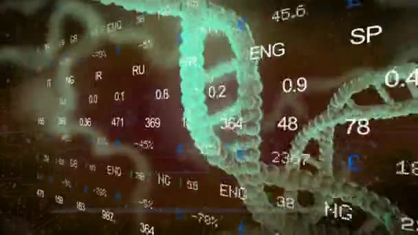 Bourse - ADN - Côté gauche - rouge 