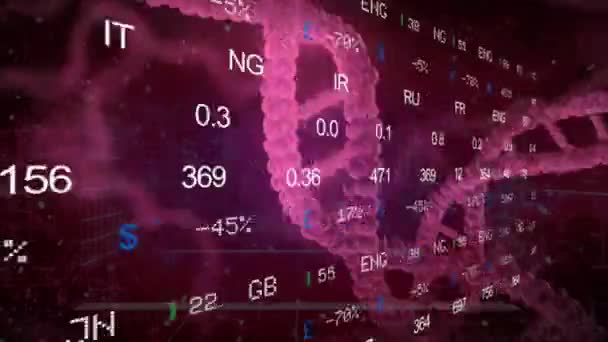 Börse - dna - rechts - lila — Stockvideo