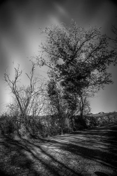 田舎風景 トリノの丘のパノラマ — ストック写真