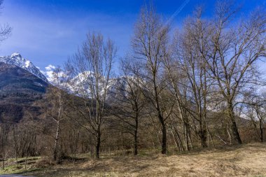 Göl, Bahar yürüyüşte ile orman