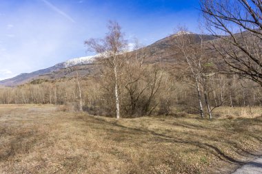 Göl, Bahar yürüyüşte ile orman