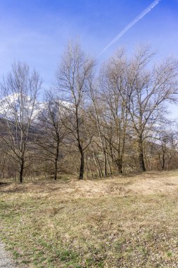 Göl, Bahar yürüyüşte ile orman