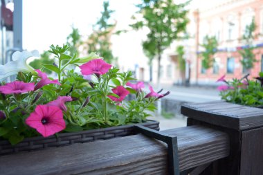 Çiçeklik sokak kafede pembe çiçekli.