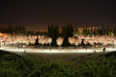Krasnodar park gece şehirde parlak ışıkları