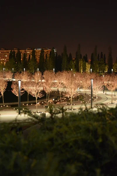 Krasnodar park gece şehirde parlak ışıkları