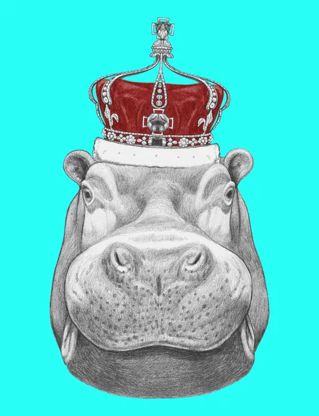 Hippo z korony — Zdjęcie stockowe