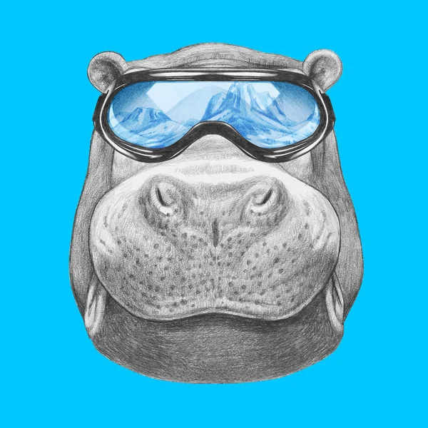 Hippo with sunglasses — Stock Photo, Image