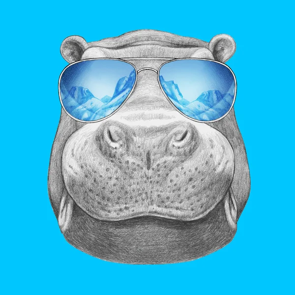 Hipopótamo com óculos de sol — Fotografia de Stock