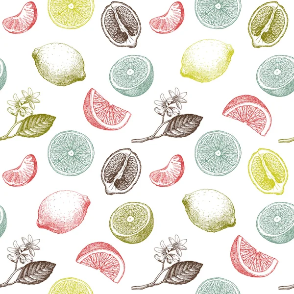 Кольорові Цитрусові фрукти — стокове фото