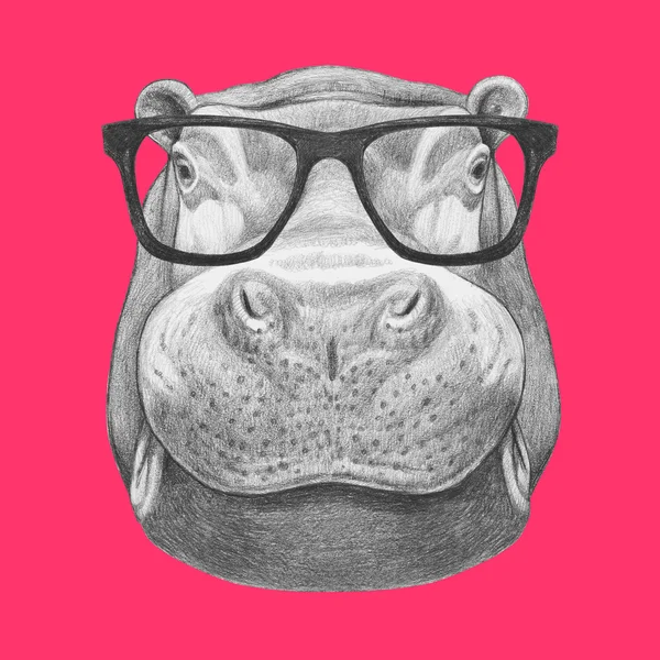 Hipopotam cu ochelari de soare — Fotografie, imagine de stoc