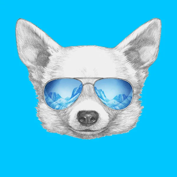 Kézzel rajzolt aranyos Chihuahua kutya — Stock Fotó