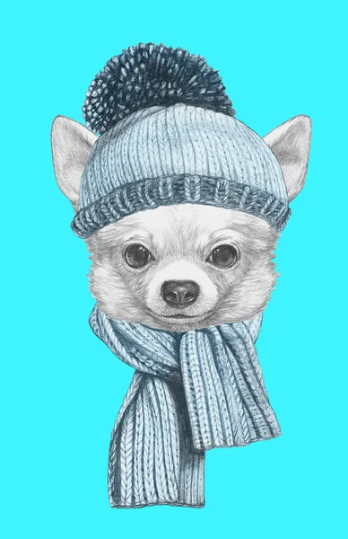 Ręcznie rysowane pies Chihuahua — Zdjęcie stockowe